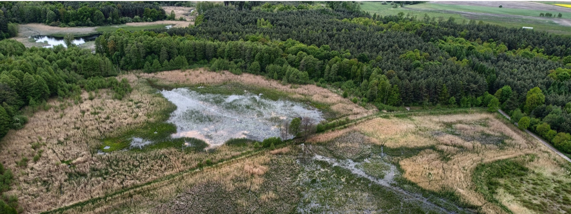 Park Krajobrazowy Stawki